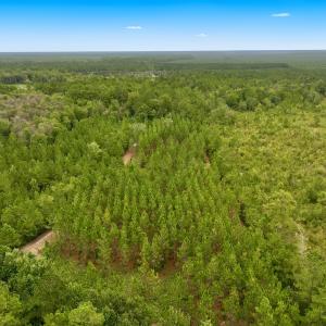 Photo #26 of Off  White Oak River Rd, Maysville, NC 41.0 acres