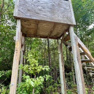 Photo #30 of Off  White Oak River Rd, Maysville, NC 41.0 acres