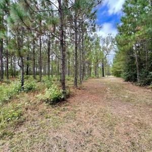 Photo #34 of Off  White Oak River Rd, Maysville, NC 41.0 acres