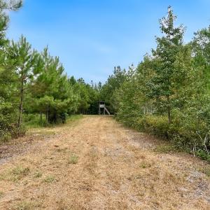 Photo #39 of Off  White Oak River Rd, Maysville, NC 41.0 acres