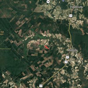 Photo #43 of Off  White Oak River Rd, Maysville, NC 41.0 acres