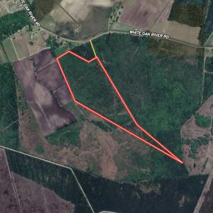 Photo #44 of Off  White Oak River Rd, Maysville, NC 41.0 acres