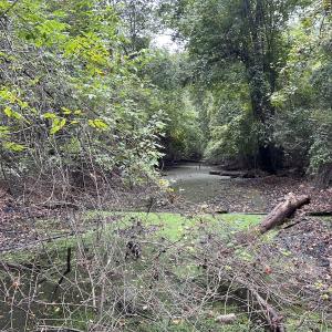 Photo #13 of Off Bunnlevel Erwin Rd, Bunnlevel, NC 41.4 acres
