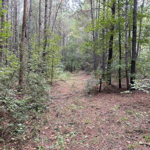 Photo #21 of Off Bunnlevel Erwin Rd, Bunnlevel, NC 41.4 acres