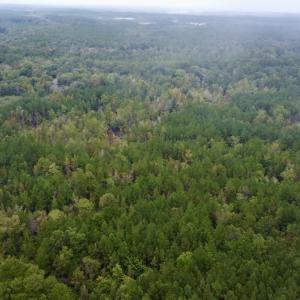 Photo #3 of Off Bunnlevel Erwin Rd, Bunnlevel, NC 41.4 acres