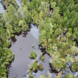 Photo #8 of Off Bunnlevel Erwin Rd, Bunnlevel, NC 41.4 acres