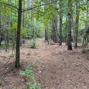 Photo #23 of Off Bunnlevel Erwin Rd, Bunnlevel, NC 41.4 acres
