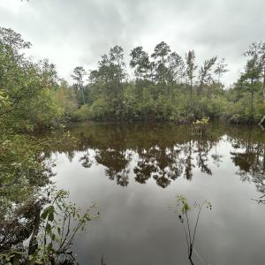 Photo #24 of Off Bunnlevel Erwin Rd, Bunnlevel, NC 41.4 acres
