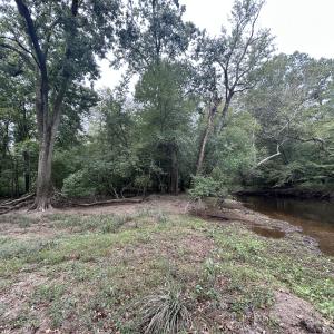 Photo #29 of Off Bunnlevel Erwin Rd, Bunnlevel, NC 41.4 acres