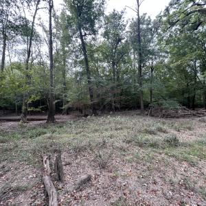 Photo #30 of Off Bunnlevel Erwin Rd, Bunnlevel, NC 41.4 acres