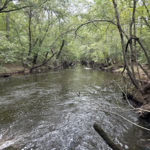 Photo #35 of Off Bunnlevel Erwin Rd, Bunnlevel, NC 41.4 acres