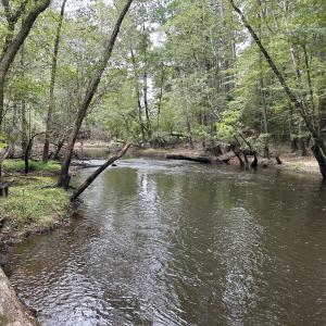 Photo #36 of Off Bunnlevel Erwin Rd, Bunnlevel, NC 41.4 acres