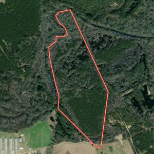 Photo #40 of Off Bunnlevel Erwin Rd, Bunnlevel, NC 41.4 acres