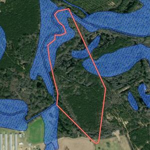 Photo #37 of Off Bunnlevel Erwin Rd, Bunnlevel, NC 41.4 acres