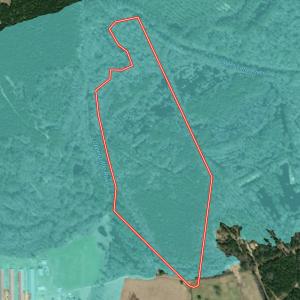 Photo #38 of Off Bunnlevel Erwin Rd, Bunnlevel, NC 41.4 acres