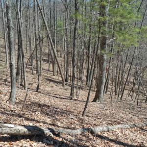 Photo #5 of 240 old Stone Dr Lot 47, Crumpler, NC 5.3 acres