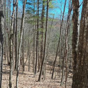 Photo #16 of 240 old Stone Dr Lot 47, Crumpler, NC 5.3 acres
