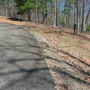 Photo #18 of 240 old Stone Dr Lot 47, Crumpler, NC 5.3 acres
