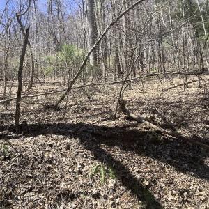 Photo #23 of 240 old Stone Dr Lot 47, Crumpler, NC 5.3 acres