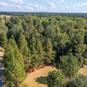 Photo #10 of 1788 Sandhill Game Management Road, Ellerbe, NC 33.4 acres