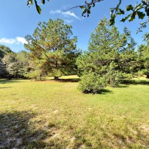 Photo #12 of 1788 Sandhill Game Management Road, Ellerbe, NC 33.4 acres