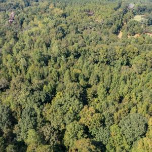 Photo #17 of 1788 Sandhill Game Management Road, Ellerbe, NC 33.4 acres