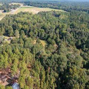 Photo #18 of 1788 Sandhill Game Management Road, Ellerbe, NC 33.4 acres