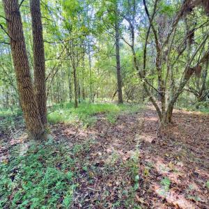 Photo #19 of 1788 Sandhill Game Management Road, Ellerbe, NC 33.4 acres