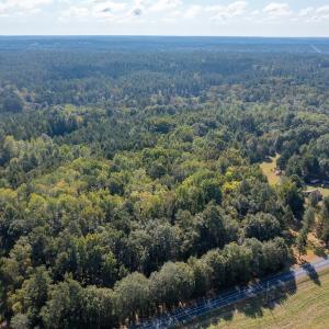 Photo #1 of 1788 Sandhill Game Management Road, Ellerbe, NC 33.4 acres