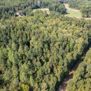 Photo #2 of 1788 Sandhill Game Management Road, Ellerbe, NC 33.4 acres