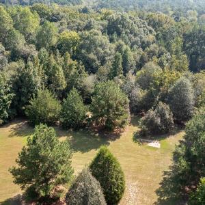 Photo #22 of 1788 Sandhill Game Management Road, Ellerbe, NC 33.4 acres