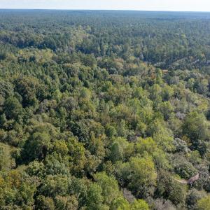 Photo #23 of 1788 Sandhill Game Management Road, Ellerbe, NC 33.4 acres