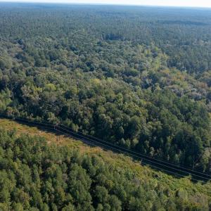 Photo #24 of 1788 Sandhill Game Management Road, Ellerbe, NC 33.4 acres