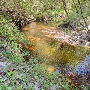 Photo #28 of 1788 Sandhill Game Management Road, Ellerbe, NC 33.4 acres