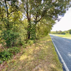 Photo #3 of 1788 Sandhill Game Management Road, Ellerbe, NC 33.4 acres