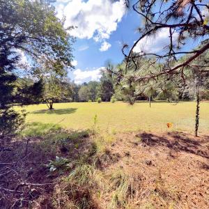 Photo #32 of 1788 Sandhill Game Management Road, Ellerbe, NC 33.4 acres