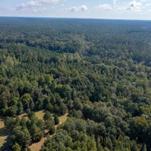 Photo #5 of 1788 Sandhill Game Management Road, Ellerbe, NC 33.4 acres