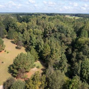 Photo #6 of 1788 Sandhill Game Management Road, Ellerbe, NC 33.4 acres