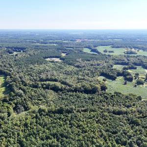 Photo #10 of Off Dahlia Road, Emporia, VA 25.4 acres