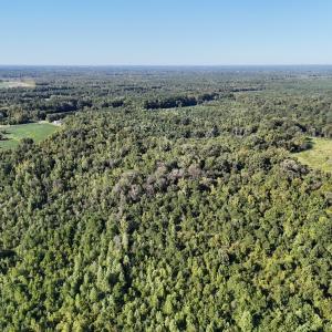 Photo #12 of Off Dahlia Road, Emporia, VA 25.4 acres