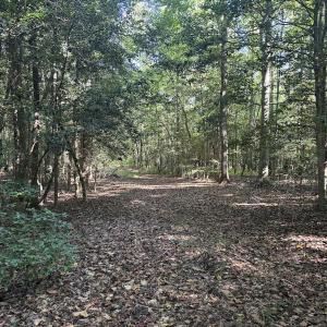 Photo #15 of Off Dahlia Road, Emporia, VA 25.4 acres
