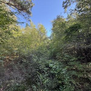Photo #16 of Off Dahlia Road, Emporia, VA 25.4 acres