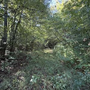 Photo #17 of Off Dahlia Road, Emporia, VA 25.4 acres