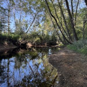 Photo #20 of Off Dahlia Road, Emporia, VA 25.4 acres