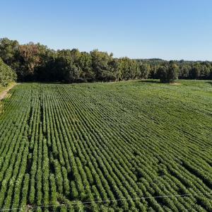 Photo #3 of Off Dahlia Road, Emporia, VA 25.4 acres