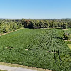 Photo #5 of Off Dahlia Road, Emporia, VA 25.4 acres