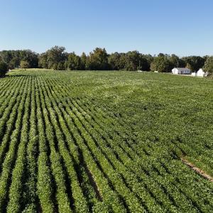 Photo #6 of Off Dahlia Road, Emporia, VA 25.4 acres