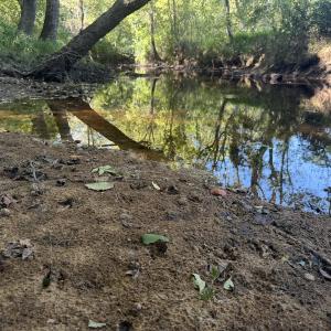 Photo #22 of Off Dahlia Road, Emporia, VA 25.4 acres