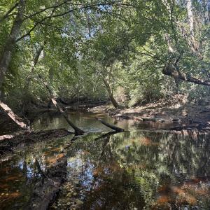 Photo #23 of Off Dahlia Road, Emporia, VA 25.4 acres