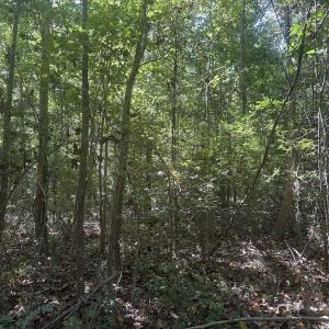 Photo #26 of Off Dahlia Road, Emporia, VA 25.4 acres